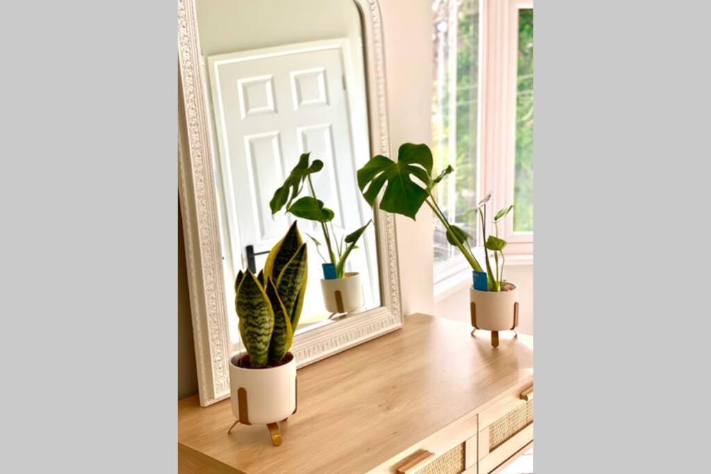 בורנמות' Cleveland House - Perfect For Beaches And Town. מראה חיצוני תמונה